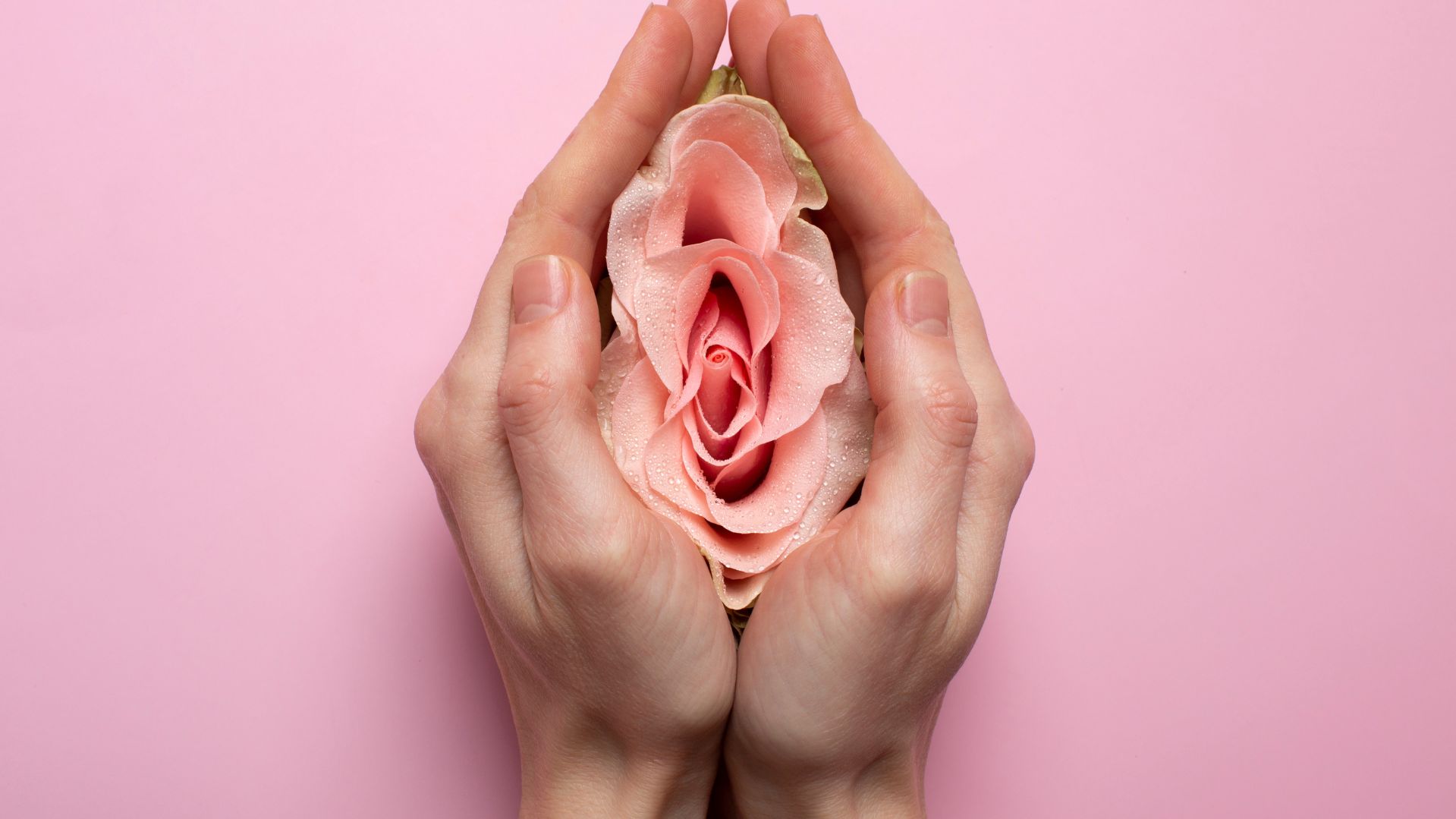 Glândula de Bartholin Inflamada: causas e como tratar